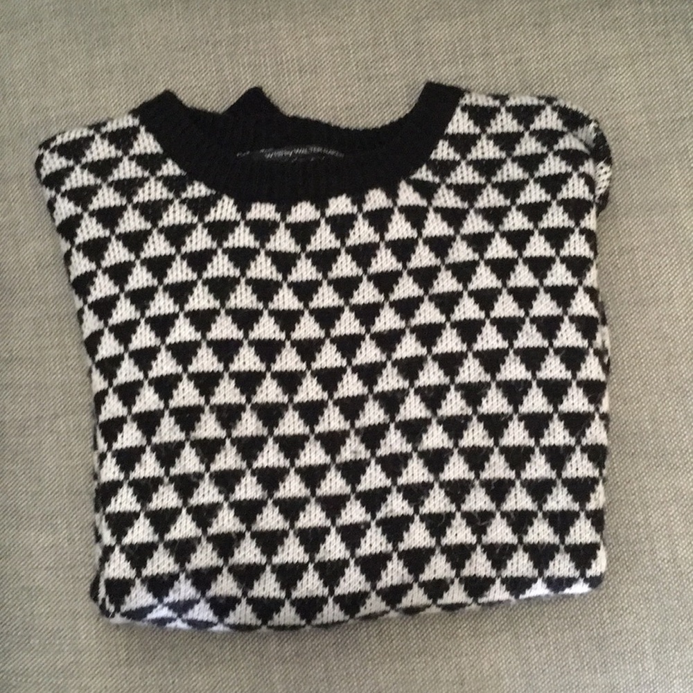 W118 by Walter baker sweater